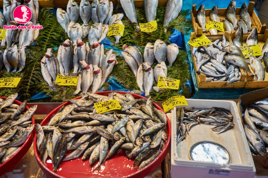 Hindari Memberikan Ikan Ini untuk MPASI Si Kecil, Bun! Kenali Jenisnya agar Aman dan Sehat